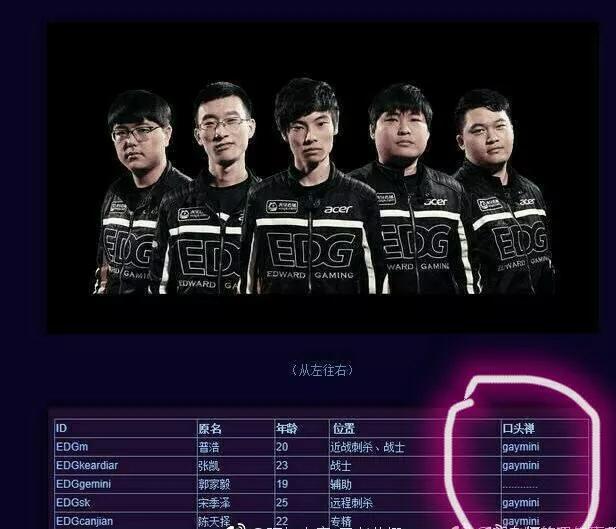 Gemini成长历程揭秘：从热爱游戏到职业电竞选手之路-第2张图片-世界杯直播-世界杯直播观看-官方最新链接-V3.6.9
