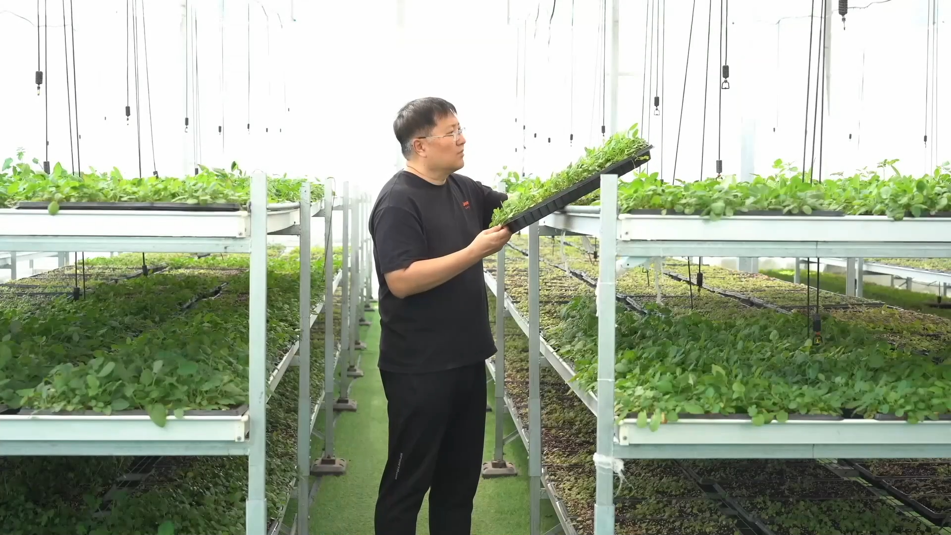 用Claude提升就业服务，山东数智平台帮您找好工作-第4张图片-世界杯直播-世界杯直播观看-官方最新链接-V3.6.9