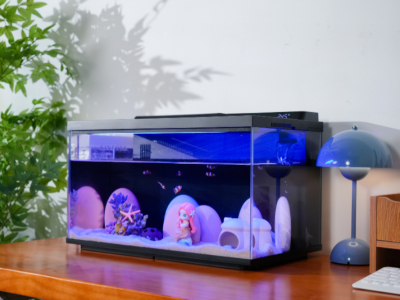 新手入门海缸首选！当贝鱼缸2SUltra开缸步骤详解